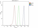 Flow Cytometry analysis of HepG2 cells using anti-STRN3 antibody. Overlay histogram showing HepG2 cells stained with (Blue line). The cells were fixed with 4% paraformaldehyde and blocked with 10% normal goat serum. And then incubated with rabbit anti-STRN3 antibody (1 ug/million cells) for 30 min at 20oC. DyLight 488 conjugated goat anti-rabbit IgG (5-10 ug/million cells) was used as secondary antibody for 30 minutes at 20oC. Isotype control antibody (Green line) was rabbit IgG (1 ug/million cells) used under the same conditions. Unlabelled sample without incubation with primary antibody and secondary antibody (Red line) was used as a blank control.
