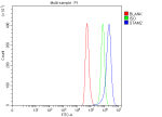 Flow Cytometry analysis of Hela cells using anti-STAM2 antibody. Overlay histogram showing Hela cells stained with (Blue line). To facilitate intracellular staining, cells were fixed with 4% paraformaldehyde and permeabilized with permeabilization buffer. The cells were blocked with 10% normal goat serum. And then incubated with rabbit anti-STAM2 antibody (1 ug/million cells) for 30 min at 20oC. DyLight 488 conjugated goat anti-rabbit IgG (5-10 ug/million cells) was used as secondary antibody for 30 minutes at 20oC. Isotype control antibody (Green line) was rabbit IgG (1 ug/million cells) used under the same conditions. Unlabelled sample (Red line) was also used as a control.