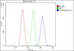 Flow Cytometry analysis of U87 cells using anti-GPNMB antibody. Overlay histogram showing U87 cells stained with (Blue line). To facilitate intracellular staining, cells were fixed with 4% paraformaldehyde and permeabilized with permeabilization buffer. The cells were blocked with 10% normal goat serum. And then incubated with rabbit anti-GPNMB antibody (1ug/million cells) for 30 min at 20oC. DyLight 488 conjugated goat anti-rabbit IgG (5-10ug/million cells) was used as secondary antibody for 30 minutes at 20oC. Isotype control antibody (Green line) was rabbit IgG (1ug/million) used under the same conditions. Unlabelled sample without incubation with primary antibody and secondary antibody (Red line) was used as a blank control.