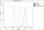Flow Cytometry analysis of HEPA1-6 cells using anti-GPNMB antibody. Overlay histogram showing HEPA1-6 cells stained with (Blue line). To facilitate intracellular staining, cells were fixed with 4% paraformaldehyde and permeabilized with permeabilization buffer. The cells were blocked with 10% normal goat serum. And then incubated with rabbit anti-GPNMB antibody (1ug/million cells) for 30 min at 20oC. DyLight 488 conjugated goat anti-rabbit IgG (5-10ug/million cells) was used as secondary antibody for 30 minutes at 20oC. Isotype control antibody (Green line) was rabbit IgG (1ug/million) used under the same conditions. Unlabelled sample without incubation with primary antibody and secondary antibody (Red line) was used as a blank control.