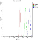 Flow Cytometry analysis of cells using anti-MAP1B antibody. Overlay histogram showing cells stained with (Blue line). To facilitate intracellular staining, cells were fixed with 4% paraformaldehyde and permeabilized with permeabilization buffer. The cells were blocked with 10% normal goat serum. And then incubated with rabbit anti-MAP1B antibody (1 ug/million cells) for 30 min at 20oC. DyLight 488 conjugated goat anti-rabbit IgG (5-10 ug/million cells) was used as secondary antibody for 30 minutes at 20oC. Isotype control antibody (Green line) was rabbit IgG (1 ug/million cells) used under the same conditions. Unlabelled sample without incubation with primary antibody and secondary antibody (Red line) was used as a blank control.
