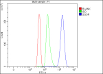 Flow Cytometry analysis of JK cells using anti-SQOR antibody. Overlay histogram showing JK cells stained with (Blue line). To facilitate intracellular staining, cells were fixed with 4% paraformaldehyde and permeabilized with permeabilization buffer. The cells were blocked with 10% normal goat serum. And then incubated with rabbit anti-SQOR antibody (1 ug/million cells) for 30 min at 20oC. DyLight 488 conjugated goat anti-rabbit IgG (5-10 ug/million cells) was used as secondary antibody for 30 minutes at 20oC. Isotype control antibody (Green line) was rabbit IgG (1 ug/million cells) used under the same conditions. Unlabelled sample (Red line) was also used as a control.
