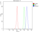 Flow Cytometry analysis of Raji cells using anti-RASAL3 antibody. Overlay histogram showing Raji cells stained with (Blue line). To facilitate intracellular staining, cells were fixed with 4% paraformaldehyde and permeabilized with permeabilization buffer. The cells were blocked with 10% normal goat serum. And then incubated with rabbit anti-RASAL3 antibody (1 ug/million cells) for 30 min at 20oC. DyLight 488 conjugated goat anti-rabbit IgG (5-10 ug/million cells) was used as secondary antibody for 30 minutes at 20oC. Isotype control antibody (Green line) was rabbit IgG (1 ug/million cells) used under the same conditions. Unlabelled sample without incubation with primary antibody and secondary antibody (Red line) was used as a blank control.