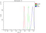 Flow Cytometry analysis of NIH/3T3 cells using anti-Cdh1 antibody. Overlay histogram showing NIH/3T3 cells stained with (Blue line). The cells were fixed with 4% paraformaldehyde and blocked with 10% normal goat serum. And then incubated with rabbit anti-Cdh1 antibody (1 ug/million cells) for 30 min at 20oC. DyLight 488 conjugated goat anti-rabbit IgG (5-10 ug/million cells) was used as secondary antibody for 30 minutes at 20oC. Isotype control antibody (Green line) was rabbit IgG (1 ug/million cells) used under the same conditions. Unlabelled sample (Red line) was also used as a control.