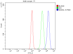 Flow Cytometry analysis of cells using anti-NSDHL antibody. Overlay histogram showing cells stained with (Blue line). To facilitate intracellular staining, cells were fixed with 4% paraformaldehyde and permeabilized with permeabilization buffer. The cells were blocked with 10% normal goat serum. And then incubated with rabbit anti-NSDHL antibody (1 ug/million cells) for 30 min at 20oC. DyLight 488 conjugated goat anti-rabbit IgG (5-10 ug/million cells) was used as secondary antibody for 30 minutes at 20oC. Isotype control antibody (Green line) was rabbit IgG (1 ug/million cells) used under the same conditions. Unlabelled sample without incubation with primary antibody and secondary antibody (Red line) was used as a blank control.