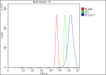 Flow Cytometry analysis of C2C12 cells using anti-Bim antibody. Overlay histogram showing C2C12 cells stained with (Blue line). To facilitate intracellular staining, cells were fixed with 4% paraformaldehyde and permeabilized with permeabilization buffer. The cells were blocked with 10% normal goat serum. And then incubated with rabbit anti-Bim antibody (1 ug/million cells) for 30 min at 20oC. DyLight 488 conjugated goat anti-rabbit IgG (5-10 ug/million cells) was used as secondary antibody for 30 minutes at 20oC. Isotype control antibody (Green line) was rabbit IgG (1 ug/million cells) used under the same conditions. Unlabelled sample (Red line) was also used as a control.