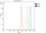 Flow Cytometry analysis of K562 cells using anti-PBRM1 antibody. Overlay histogram showing K562 cells stained with (Blue line). To facilitate intracellular staining, cells were fixed with 4% paraformaldehyde and permeabilized with permeabilization buffer. The cells were blocked with 10% normal goat serum. And then incubated with rabbit anti-PBRM1 antibody (1 ug/million cells) for 30 min at 20oC. DyLight 488 conjugated goat anti-rabbit IgG (5-10 ug/million cells) was used as secondary antibody for 30 minutes at 20oC. Isotype control antibody (Green line) was rabbit IgG (1 ug/million cells) used under the same conditions. Unlabelled sample without incubation with primary antibody and secondary antibody (Red line) was used as a blank control.