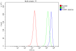 Flow Cytometry analysis of MCF-7 cells using anti-TYRP1 antibody. Overlay histogram showing MCF-7 cells stained with (Blue line). To facilitate intracellular staining, cells were fixed with 4% paraformaldehyde and permeabilized with permeabilization buffer. The cells were blocked with 10% normal goat serum. And then incubated with rabbit anti-TYRP1 antibody (1 ug/million cells) for 30 min at 20oC. DyLight 488 conjugated goat anti-rabbit IgG (5-10 ug/million cells) was used as secondary antibody for 30 minutes at 20oC. Isotype control antibody (Green line) was rabbit IgG (1 ug/million cells) used under the same conditions. Unlabelled sample without incubation with primary antibody and secondary antibody (Red line) was used as a blank control.