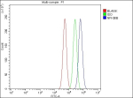 Flow Cytometry analysis of PC-3 cells using anti-NFKBIB antibody. Overlay histogram showing PC-3 cells stained with (Blue line). To facilitate intracellular staining, cells were fixed with 4% paraformaldehyde and permeabilized with permeabilization buffer. The cells were blocked with 10% normal goat serum. And then incubated with rabbit anti-NFKBIB antibody (1 ug/million cells) for 30 min at 20oC. DyLight 488 conjugated goat anti-rabbit IgG (5-10 ug/million cells) was used as secondary antibody for 30 minutes at 20oC. Isotype control antibody (Green line) was rabbit IgG (1 ug/million cells) used under the same conditions. Unlabelled sample without incubation with primary antibody and secondary antibody (Red line) was used as a blank control.