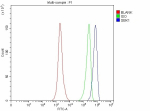 Flow Cytometry analysis of SH-SY5Y cells using anti-SBK1 antibody. Overlay histogram showing SH-SY5Y cells stained with (Blue line). To facilitate intracellular staining, cells were fixed with 4% paraformaldehyde and permeabilized with permeabilization buffer. The cells were blocked with 10% normal goat serum. And then incubated with rabbit anti-SBK1 antibody (1 ug/million cells) for 30 min at 20oC. DyLight 488 conjugated goat anti-rabbit IgG (5-10 ug/million cells) was used as secondary antibody for 30 minutes at 20oC. Isotype control antibody (Green line) was rabbit IgG (1 ug/million cells) used under the same conditions. Unlabelled sample without incubation with primary antibody and secondary antibody (Red line) was used as a blank control.