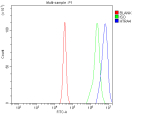 Flow Cytometry analysis of Daudi cells using anti-HTRA4 antibody. Overlay histogram showing Daudi cells stained with (Blue line). The cells were fixed with 4% paraformaldehyde and blocked with 10% normal goat serum. And then incubated with rabbit anti-HTRA4 antibody (1 ug/million cells) for 30 min at 20oC. DyLight 488 conjugated goat anti-rabbit IgG (5-10 ug/million cells) was used as secondary antibody for 30 minutes at 20oC. Isotype control antibody (Green line) was rabbit IgG (1 ug/million cells) used under the same conditions. Unlabelled sample (Red line) was also used as a control.