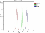 Flow Cytometry analysis of Raji cells using anti-RTKN2 antibody. Overlay histogram showing Raji cells stained with (Blue line). To facilitate intracellular staining, cells were fixed with 4% paraformaldehyde and permeabilized with permeabilization buffer. The cells were blocked with 10% normal goat serum. And then incubated with rabbit anti-RTKN2 antibody (1 ug/million cells) for 30 min at 20oC. DyLight 488 conjugated goat anti-rabbit IgG (5-10 ug/million cells) was used as secondary antibody for 30 minutes at 20oC. Isotype control antibody (Green line) was rabbit IgG (1 ug/million cells) used under the same conditions. Unlabelled sample without incubation with primary antibody and secondary antibody (Red line) was used as a blank control.