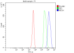 Flow Cytometry analysis of human JK cells using anti-RECK antibody. Overlay histogram showing JK cells stained with (Blue line). The cells were fixed with 4% paraformaldehyde and blocked with 10% normal goat serum. And then incubated with rabbit anti-RECK antibody (1 ug/million cells) for 30 min at 20oC. DyLight 488 conjugated goat anti-rabbit IgG (5-10 ug/million cells) was used as secondary antibody for 30 minutes at 20oC. Isotype control antibody (Green line) was rabbit IgG (1 ug/million cells) used under the same conditions. Unlabelled sample (Red line) was also used as a control.