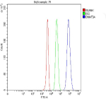 Flow Cytometry analysis of 293T cells using anti-293T cells antibody. Overlay histogram showing 293T cells stained with (Blue line). To facilitate intracellular staining, cells were fixed with 4% paraformaldehyde and permeabilized with permeabilization buffer. The cells were blocked with 10% normal goat serum. And then incubated with rabbit anti-293T cells antibody (1 ug/million cells) for 30 min at 20oC. DyLight 488 conjugated goat anti-rabbit IgG (5-10 ug/million cells) was used as secondary antibody for 30 minutes at 20oC. Isotype control antibody (Green line) was rabbit IgG (1 ug/million cells) used under the same conditions. Unlabelled sample without incubation with primary antibody and secondary antibody (Red line) was used as a blank control.