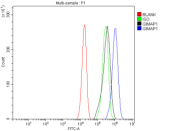 Flow Cytometry analysis of human JK cells using anti-GIMAP1 antibody. Overlay histogram showing JK cells stained with (Blue line). To facilitate intracellular staining, cells were fixed with 4% paraformaldehyde and permeabilized with permeabilization buffer. The cells were blocked with 10% normal goat serum. And then incubated with rabbit anti-GIMAP1 antibody (1 ug/million cells) for 30 min at 20oC. DyLight 488 conjugated goat anti-rabbit IgG (5-10 ug/million cells) was used as secondary antibody for 30 minutes at 20oC. Isotype control antibody (Green line) was rabbit IgG (1 ug/million cells) used under the same conditions. Unlabelled sample without incubation with primary antibody and secondary antibody (Red line) was used as a blank control. U2OS sample (Black line) was used as a negative control.
