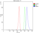 Flow Cytometry analysis of HEL cells using anti-SRBD1 antibody. Overlay histogram showing HEL cells stained with (Blue line). To facilitate intracellular staining, cells were fixed with 4% paraformaldehyde and permeabilized with permeabilization buffer. The cells were blocked with 10% normal goat serum. And then incubated with rabbit anti-SRBD1 antibody (1 ug/million cells) for 30 min at 20oC. DyLight 488 conjugated goat anti-rabbit IgG (5-10 ug/million cells) was used as secondary antibody for 30 minutes at 20oC. Isotype control antibody (Green line) was rabbit IgG (1 ug/million cells) used under the same conditions. Unlabelled sample without incubation with primary antibody and secondary antibody (Red line) was used as a blank control.