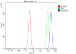 Flow Cytometry analysis of JK cells using anti-RSL24D1 antibody. Overlay histogram showing JK cells stained with (Blue line). To facilitate intracellular staining, cells were fixed with 4% paraformaldehyde and permeabilized with permeabilization buffer. The cells were blocked with 10% normal goat serum. And then incubated with rabbit anti-RSL24D1 antibody (1 ug/million cells) for 30 min at 20oC. DyLight 488 conjugated goat anti-rabbit IgG (5-10 ug/million cells) was used as secondary antibody for 30 minutes at 20oC. Isotype control antibody (Green line) was rabbit IgG (1 ug/million cells) used under the same conditions. Unlabelled sample (Red line) was also used as a control.