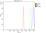 Flow Cytometry analysis of RT4 cells using anti-PTRHD1 antibody. Overlay histogram showing RT4 cells stained with (Blue line). To facilitate intracellular staining, cells were fixed with 4% paraformaldehyde and permeabilized with permeabilization buffer. The cells were blocked with 10% normal goat serum. And then incubated with rabbit anti-PTRHD1 antibody (1 ug/million cells) for 30 min at 20oC. DyLight 488 conjugated goat anti-rabbit IgG (5-10 ug/million cells) was used as secondary antibody for 30 minutes at 20oC. Isotype control antibody (Green line) was rabbit IgG (1 ug/million cells) used under the same conditions. Unlabelled sample (Red line) was also used as a control.