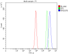 Flow Cytometry analysis of PC-3 cells using anti-RASSF8 antibody. Overlay histogram showing PC-3 cells stained with (Blue line). To facilitate intracellular staining, cells were fixed with 4% paraformaldehyde and permeabilized with permeabilization buffer. The cells were blocked with 10% normal goat serum. And then incubated with rabbit anti-RASSF8 antibody (1 ug/million cells) for 30 min at 20oC. DyLight 488 conjugated goat anti-rabbit IgG (5-10 ug/million cells) was used as secondary antibody for 30 minutes at 20oC. Isotype control antibody (Green line) was rabbit IgG (1 ug/million cells) used under the same conditions. Unlabelled sample (Red line) was also used as a control.
