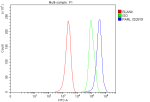 Flow Cytometry analysis of MCF-7 cells using anti-PARL antibody. Overlay histogram showing MCF-7 cells stained with (Blue line). To facilitate intracellular staining, cells were fixed with 4% paraformaldehyde and permeabilized with permeabilization buffer. The cells were blocked with 10% normal goat serum. And then incubated with rabbit anti-PARL antibody (1 ug/million cells) for 30 min at 20oC. DyLight 488 conjugated goat anti-rabbit IgG (5-10 ug/million cells) was used as secondary antibody for 30 minutes at 20oC. Isotype control antibody (Green line) was rabbit IgG (1 ug/million cells) used under the same conditions. Unlabelled sample without incubation with primary antibody and secondary antibody (Red line) was used as a blank control.