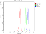Flow Cytometry analysis of HEL cells using anti-SGCZ antibody. Overlay histogram showing HEL cells stained with (Blue line). To facilitate intracellular staining, cells were fixed with 4% paraformaldehyde and permeabilized with permeabilization buffer. The cells were blocked with 10% normal goat serum. And then incubated with rabbit anti-SGCZ antibody (1 ug/million cells) for 30 min at 20oC. DyLight 488 conjugated goat anti-rabbit IgG (5-10 ug/million cells) was used as secondary antibody for 30 minutes at 20oC. Isotype control antibody (Green line) was rabbit IgG (1 ug/million cells) used under the same conditions. Unlabelled sample without incubation with primary antibody and secondary antibody (Red line) was used as a blank control.