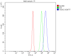 Flow Cytometry analysis of 293T cells using anti-TAOK2 antibody. Overlay histogram showing 293T cells stained with (Blue line). The cells were fixed with 4% paraformaldehyde and blocked with 10% normal goat serum. And then incubated with rabbit anti-TAOK2 antibody (1 ug/million cells) for 30 min at 20oC. DyLight 488 conjugated goat anti-rabbit IgG (5-10 ug/million cells) was used as secondary antibody for 30 minutes at 20oC. Isotype control antibody (Green line) was rabbit IgG (1 ug/million cells) used under the same conditions. Unlabelled sample without incubation with primary antibody and secondary antibody (Red line) was used as a blank control.