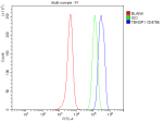 Flow Cytometry analysis of SH-SY5Y cells using anti-TBKBP1 antibody. Overlay histogram showing SH-SY5Y cells stained with (Blue line). To facilitate intracellular staining, cells were fixed with 4% paraformaldehyde and permeabilized with permeabilization buffer. The cells were blocked with 10% normal goat serum. And then incubated with rabbit anti-TBKBP1 antibody (1 ug/million cells) for 30 min at 20oC. DyLight 488 conjugated goat anti-rabbit IgG (5-10 ug/million cells) was used as secondary antibody for 30 minutes at 20oC. Isotype control antibody (Green line) was rabbit IgG (1 ug/million cells) used under the same conditions. Unlabelled sample without incubation with primary antibody and secondary antibody (Red line) was used as a blank control.