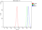 Flow Cytometry analysis of JK cells using anti-MED4 antibody. Overlay histogram showing JK cells stained with (Blue line). To facilitate intracellular staining, cells were fixed with 4% paraformaldehyde and permeabilized with permeabilization buffer. The cells were blocked with 10% normal goat serum. And then incubated with rabbit anti-MED4 antibody (1 ug/million cells) for 30 min at 20oC. DyLight 488 conjugated goat anti-rabbit IgG (5-10 ug/million cells) was used as secondary antibody for 30 minutes at 20oC. Isotype control antibody (Green line) was rabbit IgG (1 ug/million cells) used under the same conditions. Unlabelled sample (Red line) was also used as a control.