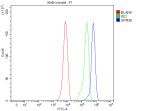 Flow Cytometry analysis of human HepG2 cells using anti-GPR35 antibody. Overlay histogram showing HepG2 cells stained with (Blue line). To facilitate intracellular staining, cells were fixed with 4% paraformaldehyde and permeabilized with permeabilization buffer. The cells were blocked with 10% normal goat serum. And then incubated with rabbit anti-GPR35 antibody (1 ug/million cells) for 30 min at 20oC. DyLight 488 conjugated goat anti-rabbit IgG (5-10 ug/million cells) was used as secondary antibody for 30 minutes at 20oC. Isotype control antibody (Green line) was rabbit IgG (1 ug/million cells) used under the same conditions. Unlabelled sample without incubation with primary antibody and secondary antibody (Red line) was used as a blank control.