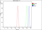Flow Cytometry analysis of SH-SY5Y cells using anti-RGL3 antibody. Overlay histogram showing SH-SY5Y cells stained with (Blue line). To facilitate intracellular staining, cells were fixed with 4% paraformaldehyde and permeabilized with permeabilization buffer. The cells were blocked with 10% normal goat serum. And then incubated with rabbit anti-RGL3 antibody (1 ug/million cells) for 30 min at 20oC. DyLight 488 conjugated goat anti-rabbit IgG (5-10 ug/million cells) was used as secondary antibody for 30 minutes at 20oC. Isotype control antibody (Green line) was rabbit IgG (1 ug/million cells) used under the same conditions. Unlabelled sample (Red line) was also used as a control.
