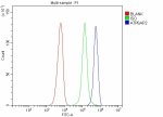 Flow Cytometry analysis of SiHa cells using anti-Renin receptor antibody. Overlay histogram showing SiHa cells stained with (Blue line). To facilitate intracellular staining, cells were fixed with 4% paraformaldehyde and permeabilized with permeabilization buffer. The cells were blocked with 10% normal goat serum. And then incubated with rabbit anti-Renin receptor antibody (1 ug/million cells) for 30 min at 20oC. DyLight 488 conjugated goat anti-rabbit IgG (5-10 ug/million cells) was used as secondary antibody for 30 minutes at 20oC. Isotype control antibody (Green line) was rabbit IgG (1 ug/million cells) used under the same conditions. Unlabelled sample without incubation with primary antibody and secondary antibody (Red line) was used as a blank control.