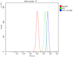 Flow Cytometry analysis of THP-1 cells using anti-HCK antibody. Overlay histogram showing THP-1 cells stained with (Blue line). The cells were fixed with 4% paraformaldehyde and blocked with 10% normal goat serum. And then incubated with rabbit anti-HCK antibody (1 ug/million cells) for 30 min at 20oC. DyLight 488 conjugated goat anti-rabbit IgG (5-10 ug/million cells) was used as secondary antibody for 30 minutes at 20oC. Isotype control antibody (Green line) was rabbit IgG (1 ug/million cells) used under the same conditions. Unlabelled sample without incubation with primary antibody and secondary antibody (Red line) was used as a blank control.