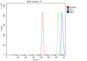 Flow cytometry analysis of fixed and permeabilized human HEL cells with ME3 antibody at 1ug/million cells (blocked with goat sera); Red=cells alone, Green=isotype control, Blue= ME3 antibody.