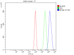 Flow Cytometry analysis of cells using anti-EPS8 antibody. Overlay histogram showing cells stained with (Blue line). The cells were fixed with 4% paraformaldehyde and blocked with 10% normal goat serum. And then incubated with rabbit anti-EPS8 antibody (1 ug/million cells) for 30 min at 20oC. DyLight 488 conjugated goat anti-rabbit IgG (5-10 ug/million cells) was used as secondary antibody for 30 minutes at 20oC. Isotype control antibody (Green line) was rabbit IgG (1 ug/million cells) used under the same conditions. Unlabelled sample without incubation with primary antibody and secondary antibody (Red line) was used as a blank control.