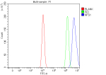 Flow Cytometry analysis of HEL cells using anti-NFS1 antibody. Overlay histogram showing HEL cells stained with (Blue line). To facilitate intracellular staining, cells were fixed with 4% paraformaldehyde and permeabilized with permeabilization buffer. The cells were blocked with 10% normal goat serum. And then incubated with rabbit anti-NFS1 antibody (1 ug/million cells) for 30 min at 20oC. DyLight 488 conjugated goat anti-rabbit IgG (5-10 ug/million cells) was used as secondary antibody for 30 minutes at 20oC. Isotype control antibody (Green line) was rabbit IgG (1 ug/million cells) used under the same conditions. Unlabelled sample (Red line) was also used as a control.