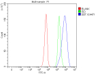 Flow Cytometry analysis of human SiHa cells using anti-BCKDH E2 antibody. Overlay histogram showing SiHa cells stained with (Blue line). To facilitate intracellular staining, cells were fixed with 4% paraformaldehyde and permeabilized with permeabilization buffer. The cells were blocked with 10% normal goat serum. And then incubated with rabbit anti-BCKDH E2 antibody (1 ug/million cells) for 30 min at 20oC. DyLight 488 conjugated goat anti-rabbit IgG (5-10 ug/million cells) was used as secondary antibody for 30 minutes at 20oC. Isotype control antibody (Green line) was rabbit IgG (1 ug/million cells) used under the same conditions. Unlabelled sample without incubation with primary antibody and secondary antibody (Red line) was used as a blank control.
