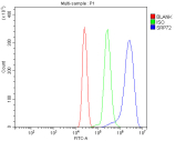 Flow cytometry analysis of fixed and permeabilized human U937 cells with SRP72 antibody at 1ug/million cells (blocked with goat sera); Red=cells alone, Green=isotype control, Blue= SRP72 antibody.