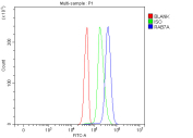 Flow cytometry analysis of fixed and permeabilized human Jurkat cells with RAB7A antibody at 1ug/million cells (blocked with goat sera); Red=cells alone, Green=isotype control, Blue= RAB7A antibody.