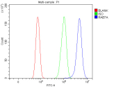 Flow cytometry analysis of fixed and permeabilized human RH35 cells with RAB7A antibody at 1ug/million cells (blocked with goat sera); Red=cells alone, Green=isotype control, Blue= RAB7A antibody.