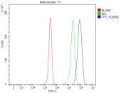 Flow cytometry analysis of fixed and permeabilized human Jurkat cells with TTF2 antibody at 1ug/million cells (blocked with goat sera); Red=cells alone, Green=isotype control, Blue= TTF2 antibody.