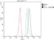 Flow cytometry analysis of fixed human SH-SY5Y cells with Doublecortin-like kinase 1 antibody at 1ug/million cells (blocked with goat sera); Red=cells alone, Green=isotype control, Blue= Doublecortin-like kinase 1 antibody.