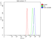 Flow cytometry analysis of fixed and permeabilized human RT4 cells with PEX5 antibody at 1ug/million cells (blocked with goat sera); Red=cells alone, Green=isotype control, Blue= PEX5 antibody.