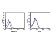 Rabbit IgG isotype control antibody APC conjugate FACS mouse samples