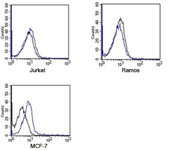 FACS testing of Rabbit IgG isotype control antibody on human samples. Black=cells alone, blue= isotype control antibody.~