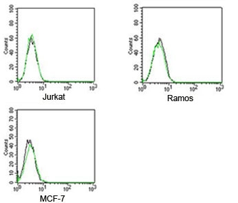 FACS testing of Rabbit IgG isotype control antibody FITC conjugate on human samples. Black=cells alone, green= isotype control antibody.~