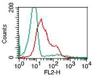 FACS testing of human PBMC (lymphocytes) with TLR9 antibody at 0.5ug/10^6 cells. Green: isotype control; Red: TLR9 antibody.