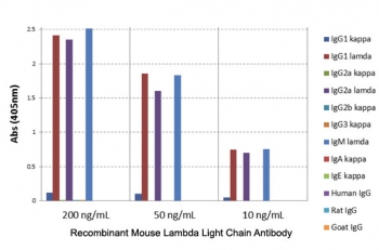ELISA of mouse immunoglobulins shows recombinant Mouse Lambda Light Chain antibody reacts to the lambda light chain of mouse immunoglobulins. No cross reactivity with kappa or human/rat/goat IgG.