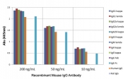 ELISA of mouse immunoglobulins shows the recombinant Mouse IgG antibody reacts to the Fc region of mouse IgG1, IgG2a, IgG2b, and IgG3; no cross reactivity with IgM, IgA, IgE, human or rat IgG. The plate was coated with 50 ng/well of different immunoglobulins. 200 ng/mL, 50 ng/mL, or 10 ng/mL of RM104 was used as the primary and an alkaline phosphatase conjugated anti-rabbit IgG as the secondary antibody.