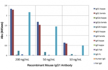 ELISA of mouse immunoglobulins shows recombinant Mouse IgG1 antibody reacts to the Fc region of mIgG1; slightly cross reacts to IgG2b; no cross reactivity with IgG2a, IgG3, IgM, IgA, IgE, human/rat IgG.