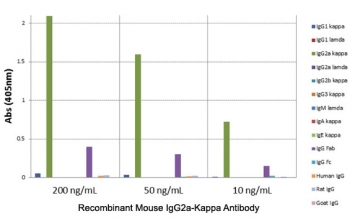 ELISA of mouse immunoglobulins shows the recombinant Mouse IgG2a-Kappa antibody reacts to the Fab region of mIgG2a kappa;; no cross reactivity with IgG2a-lambda, IgG1, IgG3, IgM, IgA, IgE, human/rat/goat IgG.